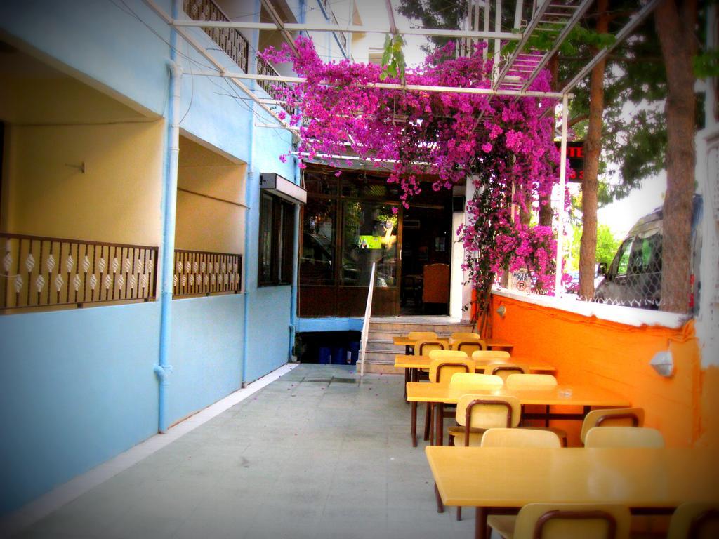 Pak - Adult Only 2* Kusadası